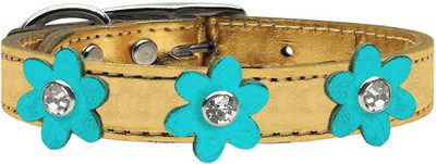 

Mirage Pet Products Dog Everyday Collar(, Gold