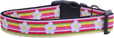 

Mirage Pet Products Dog Everyday Collar(, Multicolor