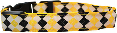 

Mirage Pet Products Dog Everyday Collar(, Multicolor
