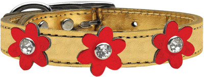 Mirage Pet Products Dog Everyday Collar(, Gold