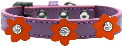 

Mirage Pet Products Dog Everyday Collar(, Purple