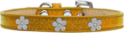 

Mirage Pet Products Dog Everyday Collar(, Gold