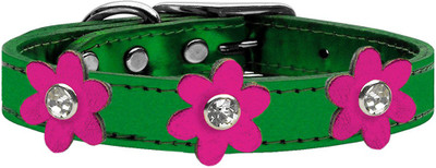 

Mirage Pet Products Dog Everyday Collar(, Green
