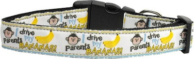 

Mirage Pet Products Dog Everyday Collar(, Multicolor