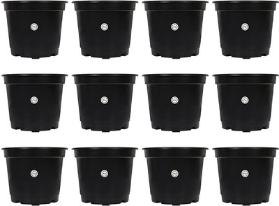 

Kraft Seeds Gamla / Planter / Pot 6-inch (pack of 12 Pots) Black colour For garden Balcony Flowering Pot by Kraft Seeds Plant Container Set(Pack of 12, Plastic)