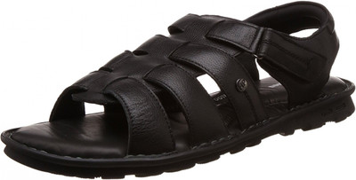 

Hush Puppies Men Black Casual