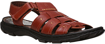

Hush Puppies Men Brown Casual