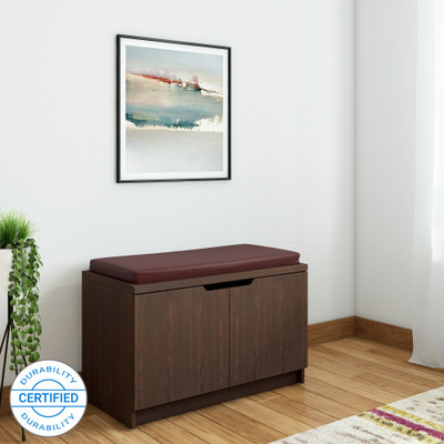 Valtos Engineered Wood Shoe Rack(2 Shelves, Knock Down)