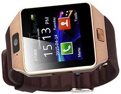 BERRIN DZ09 Gold Smartwatch(Brown Strap Free Size)