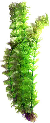 

Nibbo Aquarium_plant_00108 Aquarium Plant Anchor({Plant Anchors1)