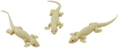 

Tootpado Realistic Rubber Lizard Toys 5 inch House Gecko (Brown) - 1a244 - Pack of 3(Brown)