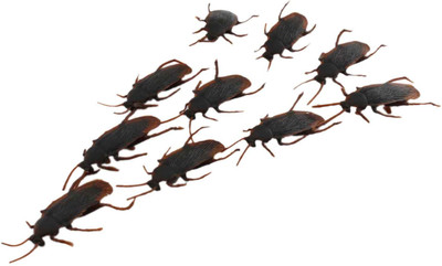 plastic toy roaches