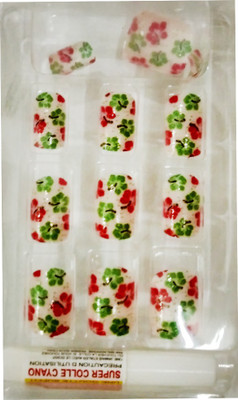 

Perky Sack French Artificials Desginer nails Pack of (12) Red, Green(Pack of 12)