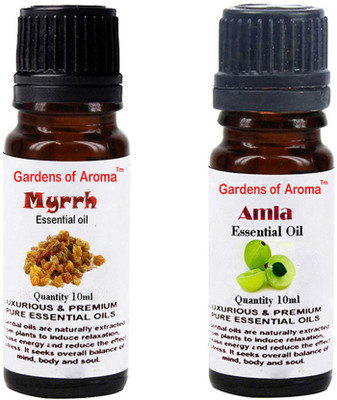 

Gardens Of Aroma Myrrh Essential Oil And Amla Essential Oil(20 ml)