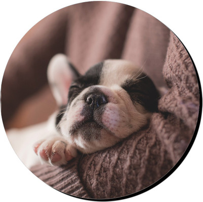 

PRINTHUBS Printed Round Mouse Pad _ 20 (Multicolor) Mousepad(Multicolor)