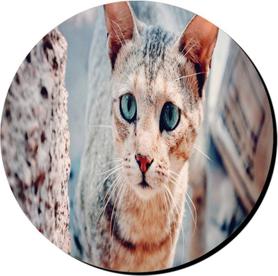 

PRINTHUBS Printed Round Mouse Pad _ 13 (Multicolor) Mousepad(Multicolor)