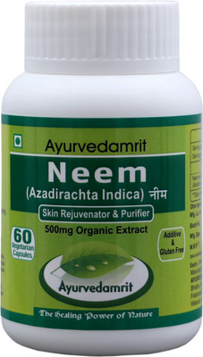 

Ayurvedamrit Neem, Skin Care Ayurvedic Herbal Medicine Supplements with 100% Neem Extract - 60 Vegetarian Capsules(60 No)