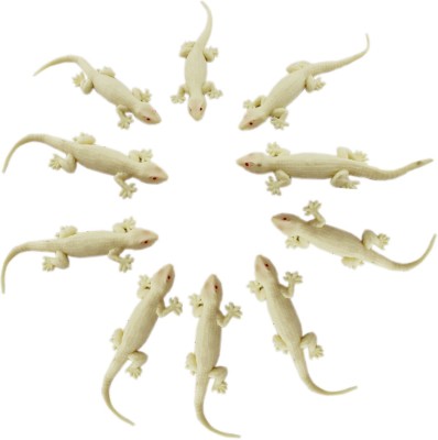Tootpado House Gecko Rubber Lizard Toy 5 inch (Pack of 10) - Cream - (CFNS0...
