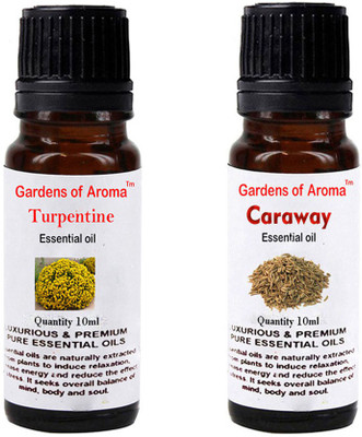 

Gardens Of Aroma Turpentine Essential Oil And Caraway Essential Oil(20 ml)