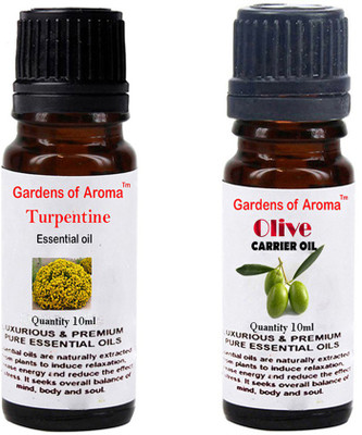 

Gardens Of Aroma Turpentine Essential Oil And Olive Carrier Oil(20 ml)