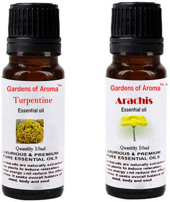 

Gardens Of Aroma Turpentine Essential Oil And Arachis Essential Oil(20 ml)