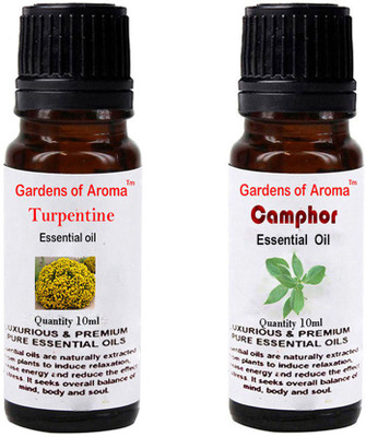 

Gardens Of Aroma Turpentine Essential Oil And Camphor Essential Oil(20 ml)