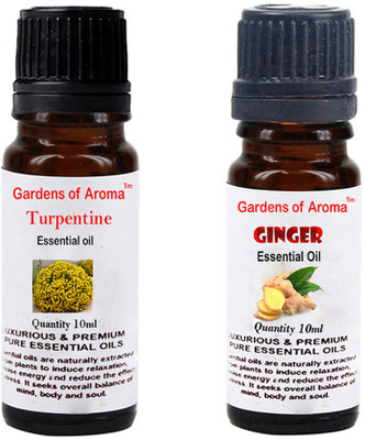 

Gardens Of Aroma Turpentine Essential Oil And Ginger Essential Oil(20 ml)