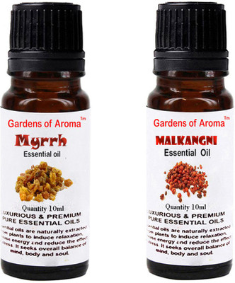 

Gardens Of Aroma Myrrh Essential Oil And Malkangani Essential Oil(20 ml)