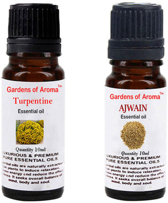 

Gardens Of Aroma Turpentine Essential Oil And Ajwain Essential Oil(20 ml)
