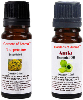 

Gardens Of Aroma Turpentine Essential Oil And Amla Essential Oil(20 ml)