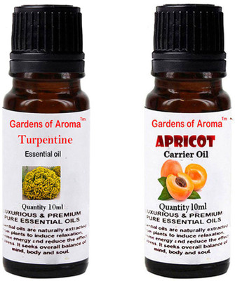 

Gardens Of Aroma Turpentine Essential Oil And Apricot Carrier Oil(20 ml)