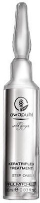 

Paul Mitchell Awapuhi Wild Ginger Keratriplex Treatment(0 ml)