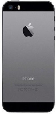 ROYAL Apple iPhone 5s Back Panel(Grey)