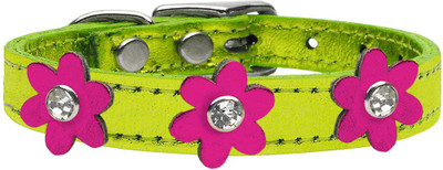 

Mirage Pet Products Dog Everyday Collar(, Green