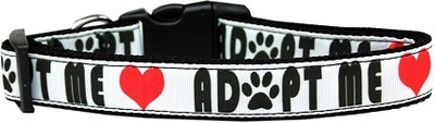 

Mirage Pet Products Dog Everyday Collar(, Multicolor