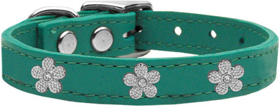 

Mirage Pet Products Dog Everyday Collar(, Blue