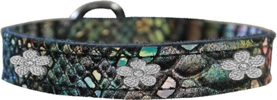

Mirage Pet Products Dog Everyday Collar(, Multicolor