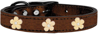 

Mirage Pet Products Dog Everyday Collar(, Brown