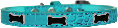 

Mirage Pet Products Dog Everyday Collar(, Blue