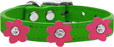 

Mirage Pet Products Dog Everyday Collar(, Green