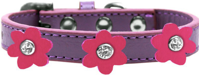 Mirage Pet Products Dog Everyday Collar(, Purple