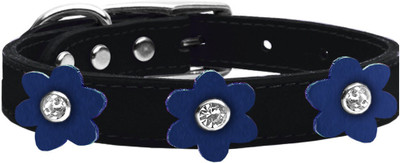 

Mirage Pet Products Dog Everyday Collar(, Black