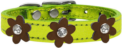 

Mirage Pet Products Dog Everyday Collar(, Green