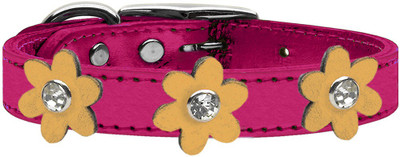 

Mirage Pet Products Dog Everyday Collar(, Pink