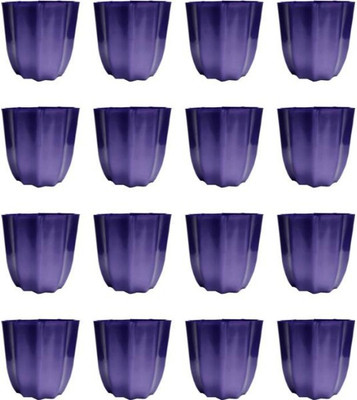 

Ojorey OJOREY/POT/64 Plant Container Set(Pack of 16, Plastic)