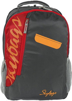 

Skybags BPSK01HGRY 30 L Backpack(Grey)