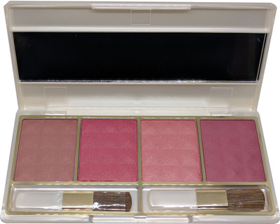 Cameleon Professional Color Blusher Palette(05)