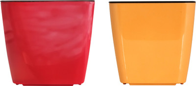 

Divine Tree Self Watering Planter Pot for Indoor Flowering Plants | Flower Pots for Gardening Plant Container Set(Pack of 2, Plastic)