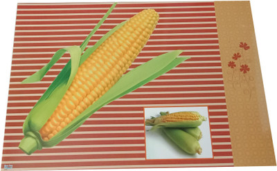 Welhouse India Rectangular Pack of 1 Table Placemat(Multicolor, Plastic)