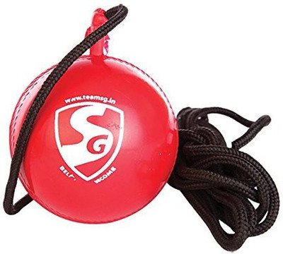 

SG Iball Cricket Training Ball(Pack of 1, Multicolor), Red
